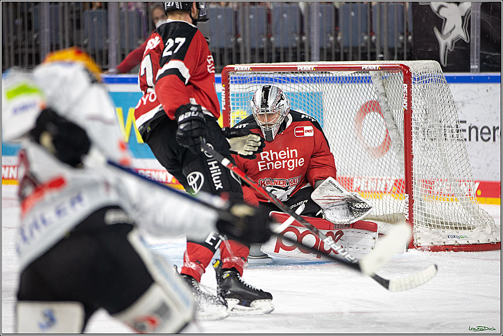 PENNY DEL; Koelner Haie- Fischtown Pinguins; Koeln, 03.01.2022